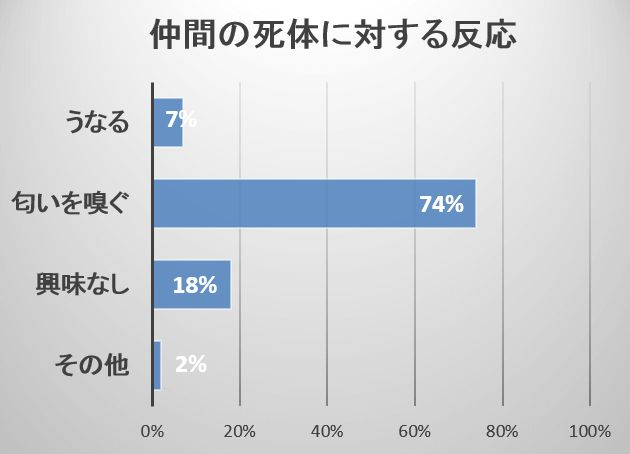 仲間の死体に対し猫の4頭に3頭は匂いを嗅ぐなどの探りを入れる