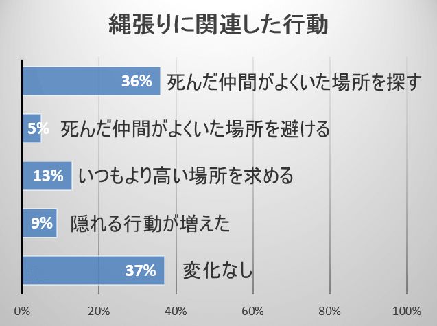 仲間の死後、3頭に1頭の猫ではいなくなった仲間が好んで使用していた空間をうろついたりする