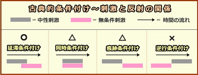 古典的条件付けにおける4つの対提示パターン~延滞・痕跡・同時・逆行
