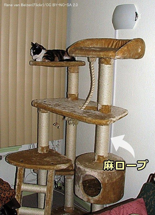 9歳未満の猫における理想の爪とぎ~多層型キャットツリーに麻ロープ