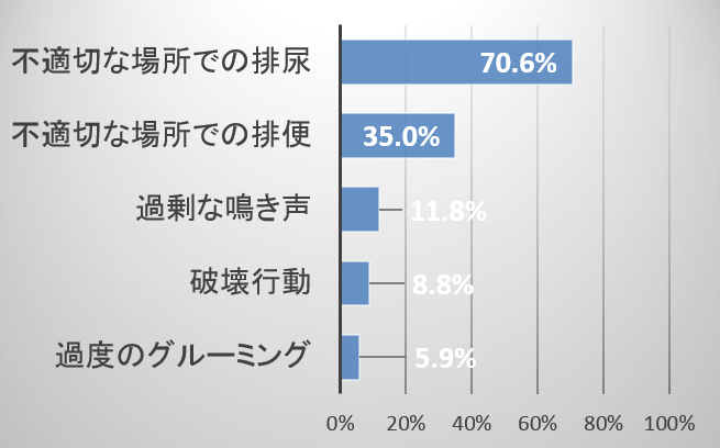 分離不安には、粗相や便のお漏らしなど、様々な問題行動が付随する