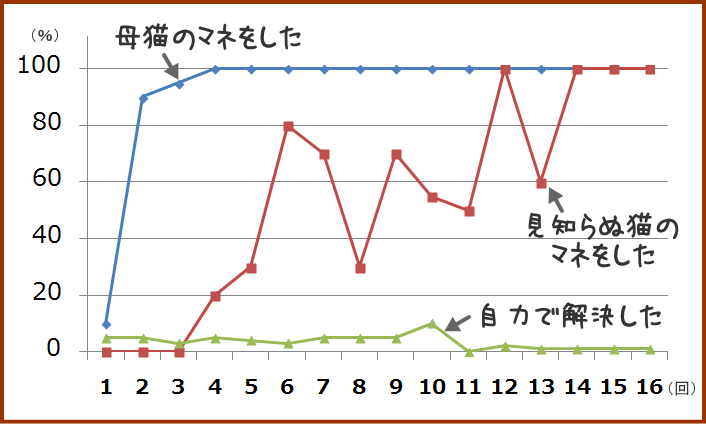 子猫の模倣学習能力は、母猫の手本を見たとき、最も高まる