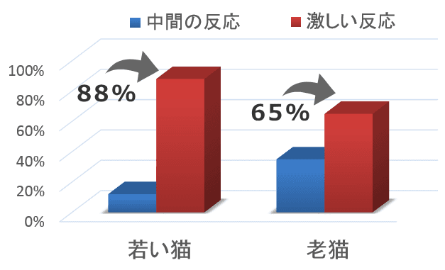 老猫よりも若い猫のほうがまたたびに対する激しい反応が出現しやすい