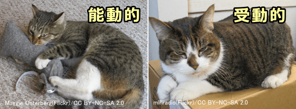 キャットニップに対する猫の反応には能動的なものと受動的なものとがある