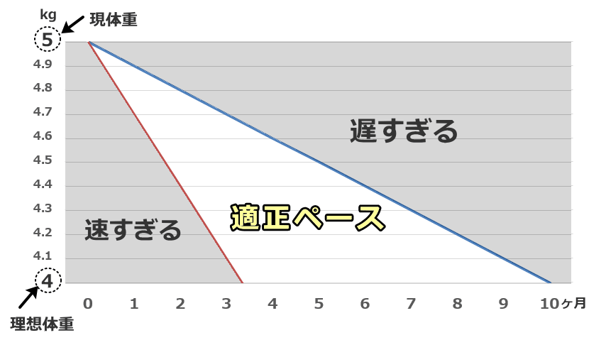 ダイエットの適正なペース