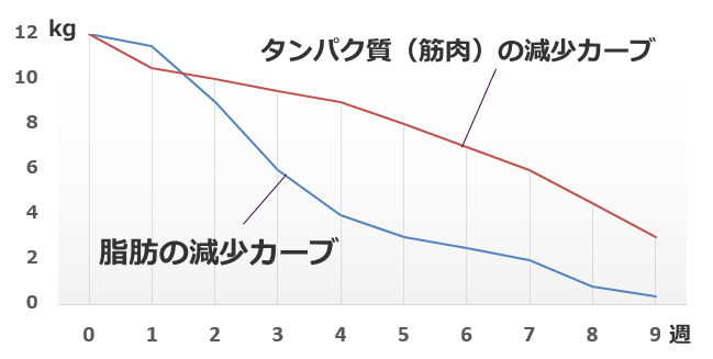 絶食状態の猫における体タンパク質と脂肪の減少カーブ