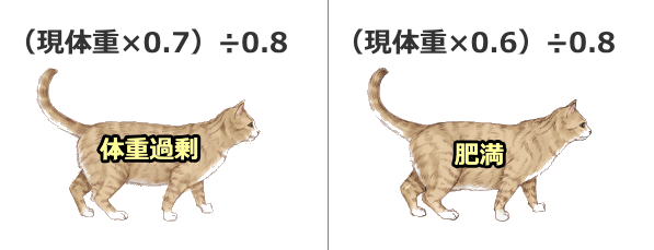 体重過剰や肥満状態の猫における理想体重の求め方