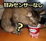 猫は二糖類の一種であるショ糖（砂糖）を感じるセンサーを持っていない