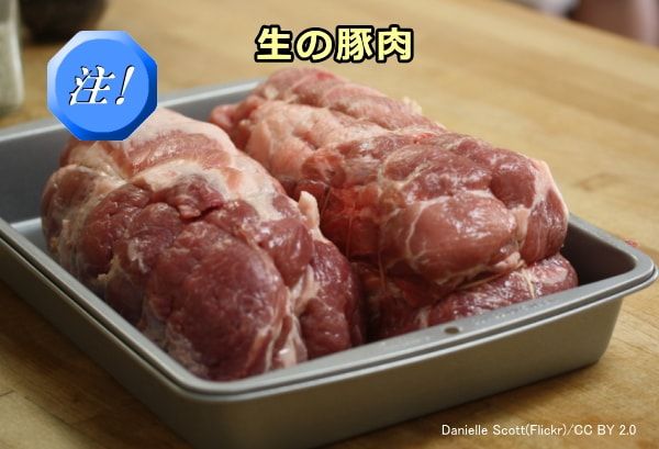 猫が食べると危険な中毒食品・食材～生の豚肉