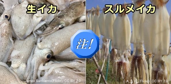 猫が食べると危険な中毒食品・食材~イカ・スルメ