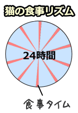 自由摂食の場合、猫は1日9-15回に分けて少量ずつをだらだらと食べる