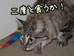 味覚嫌悪~一度嫌いになったものに対しては、容易に心を開かない
