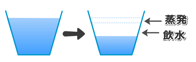一定時間内に目減りした水の量から自然蒸発量を差し引いた分が猫の飲水量