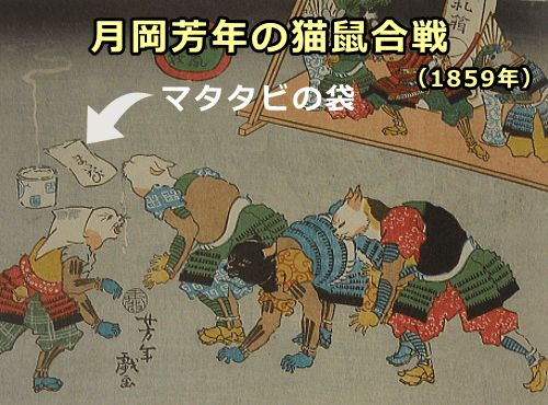 月岡芳年作「猫鼠合戦」（1859年）～またたびに夢中になる猫の姿を確認できる