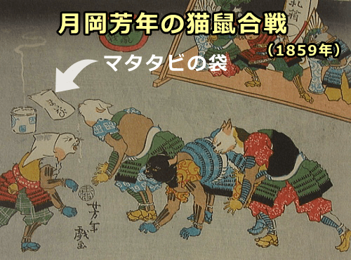 月岡芳年作「猫鼠合戦」(1859年)~またたびに夢中になる猫の姿を確認できる