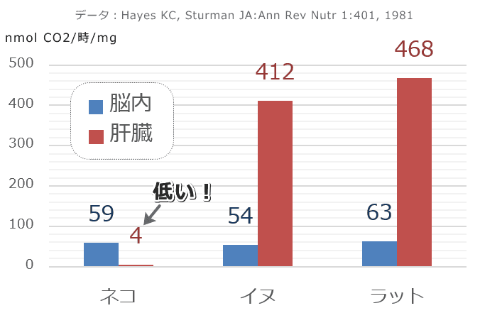 哺乳動物の脳内と肝臓におけるCSADの活性度