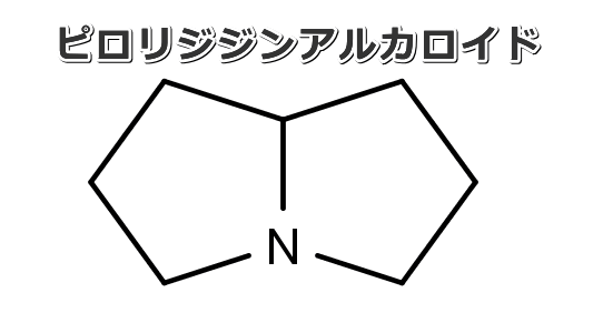 ピロリジジンアルカロイドの共通分子構造