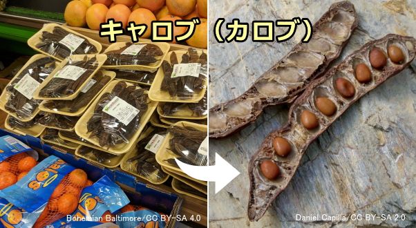 イナゴ豆の果実を乾燥させたキャロブ(カロブ)