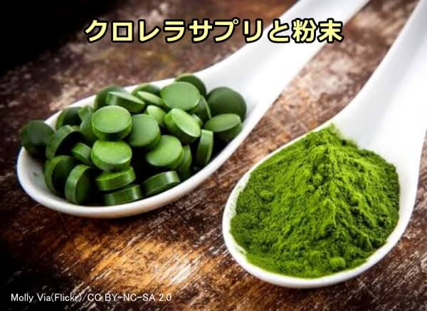 キャットフードの成分として用いられる「クロレラ」（chlorella）