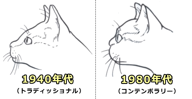 1940年代から1980年代にかけ、従来のバーミーズは短頭の度合いを強めコンテンポラリーバーミーズとなった