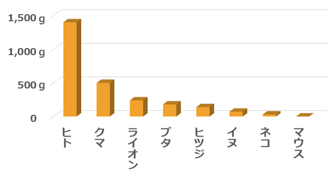 動物の脳重量一覧