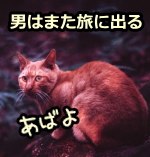 オス猫はなるべく多くのメス猫と出会うため、繁殖期間中は放浪のたびを続ける