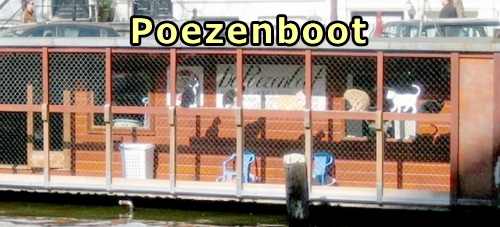 オランダ・アムステルダムにある猫の保護施設「プーシェンボート」（Poezenboot）