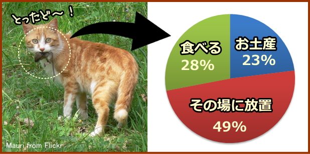 猫は屋外で捕らえた獲物の約1/4を家に持ち帰ると推計される