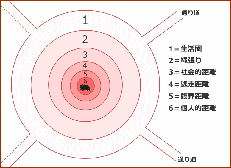 猫の持つ6つの領域模式図～大きいほうから「生活圏」・「縄張り」・「社会的距離」・「逃走距離」・「臨界距離」・「個人的距離」