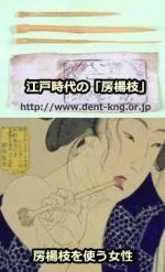 江戸時代に使用された歯ブラシ・房楊枝