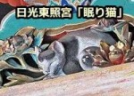 左甚五郎作といわれる日光東照宮国宝・眠り猫